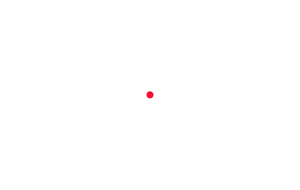 bg-zoom2